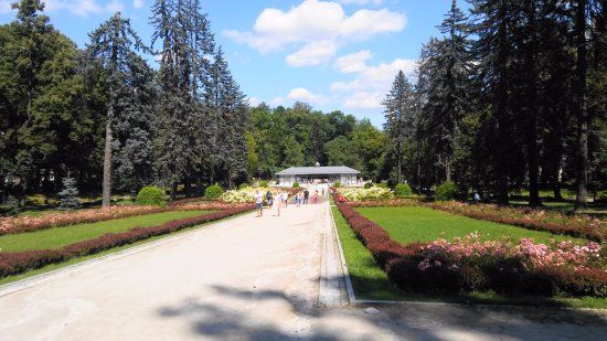 Park Szachowy
